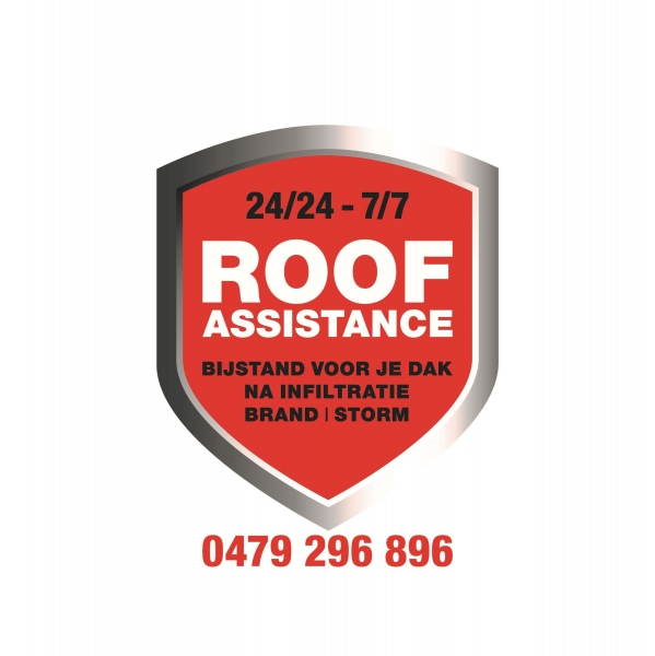 roof-assistance